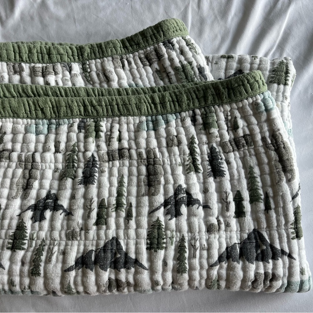 “Graced” Forest & Mountain Scene Thick Muslin Large Baby Blanket